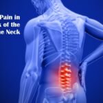 Pain in the Lower Back