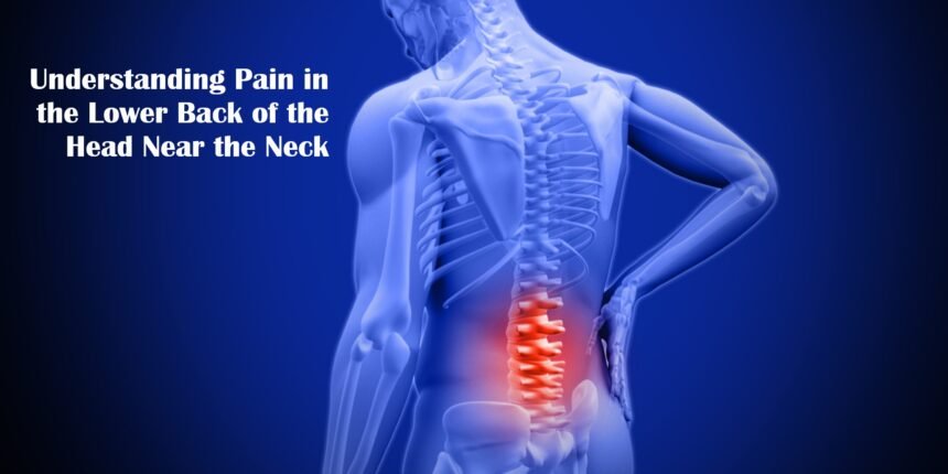 Pain in the Lower Back