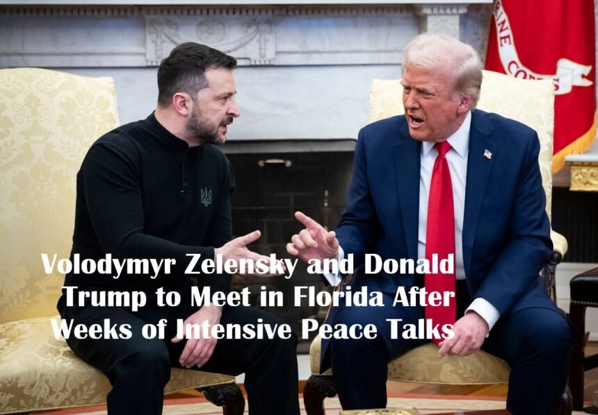 Volodymyr Zelensky and Donald Trump