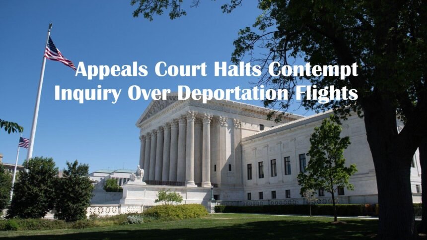 Deportation Flights