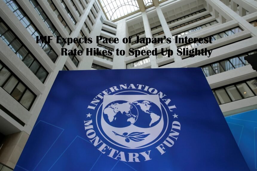 IMF
