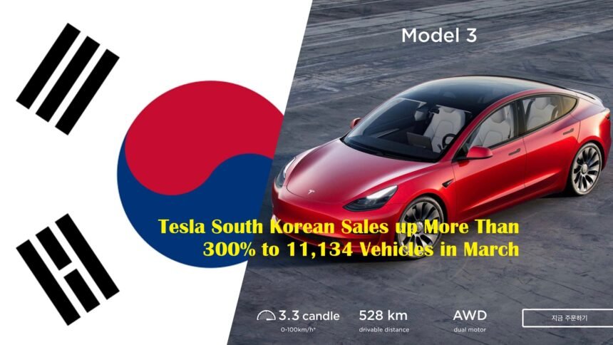 Tesla South Korean