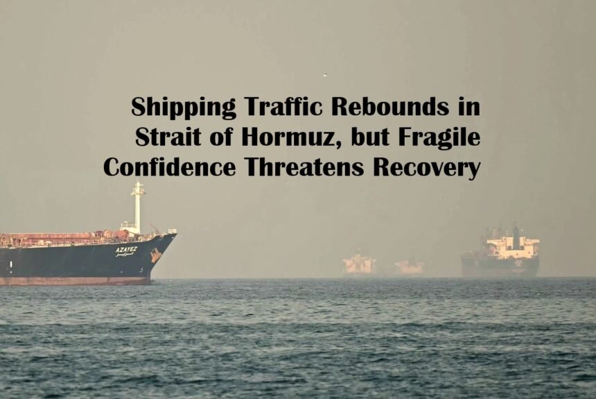 Shipping Traffic Rebounds