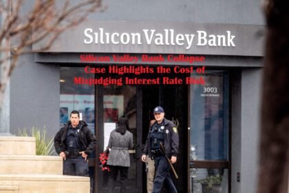 Silicon Valley Bank Collapse