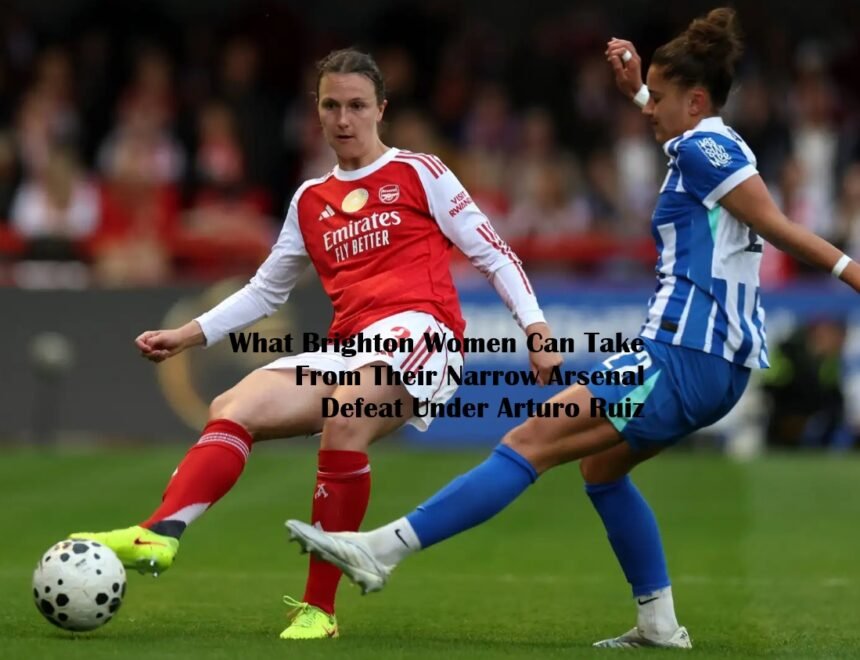 Brighton Women